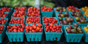 Cherrydale Farmers Market tomatoes