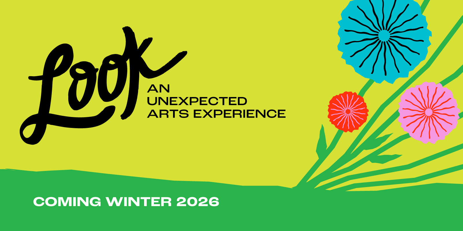 Look: An Unexpected Arts Experience